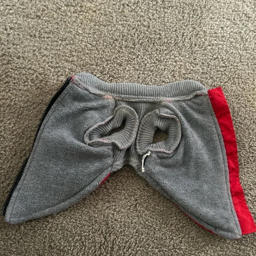 Red Dogs Jacket - Picture 3 of 8